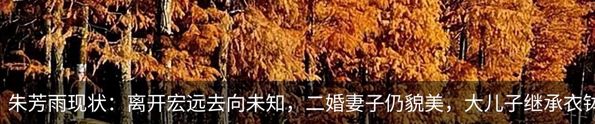 行业资讯